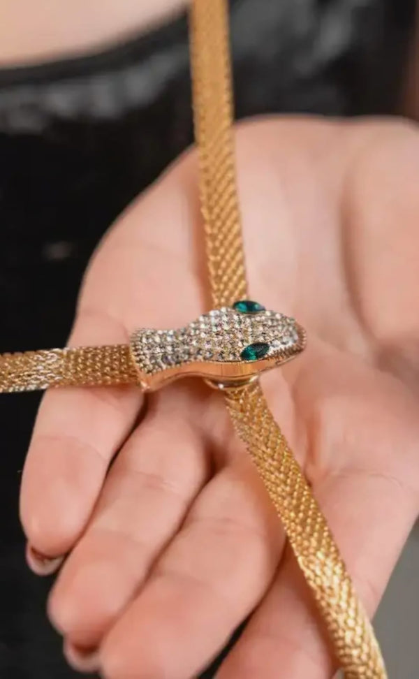 Trendy Magnetic snakeAdjustable Necklace